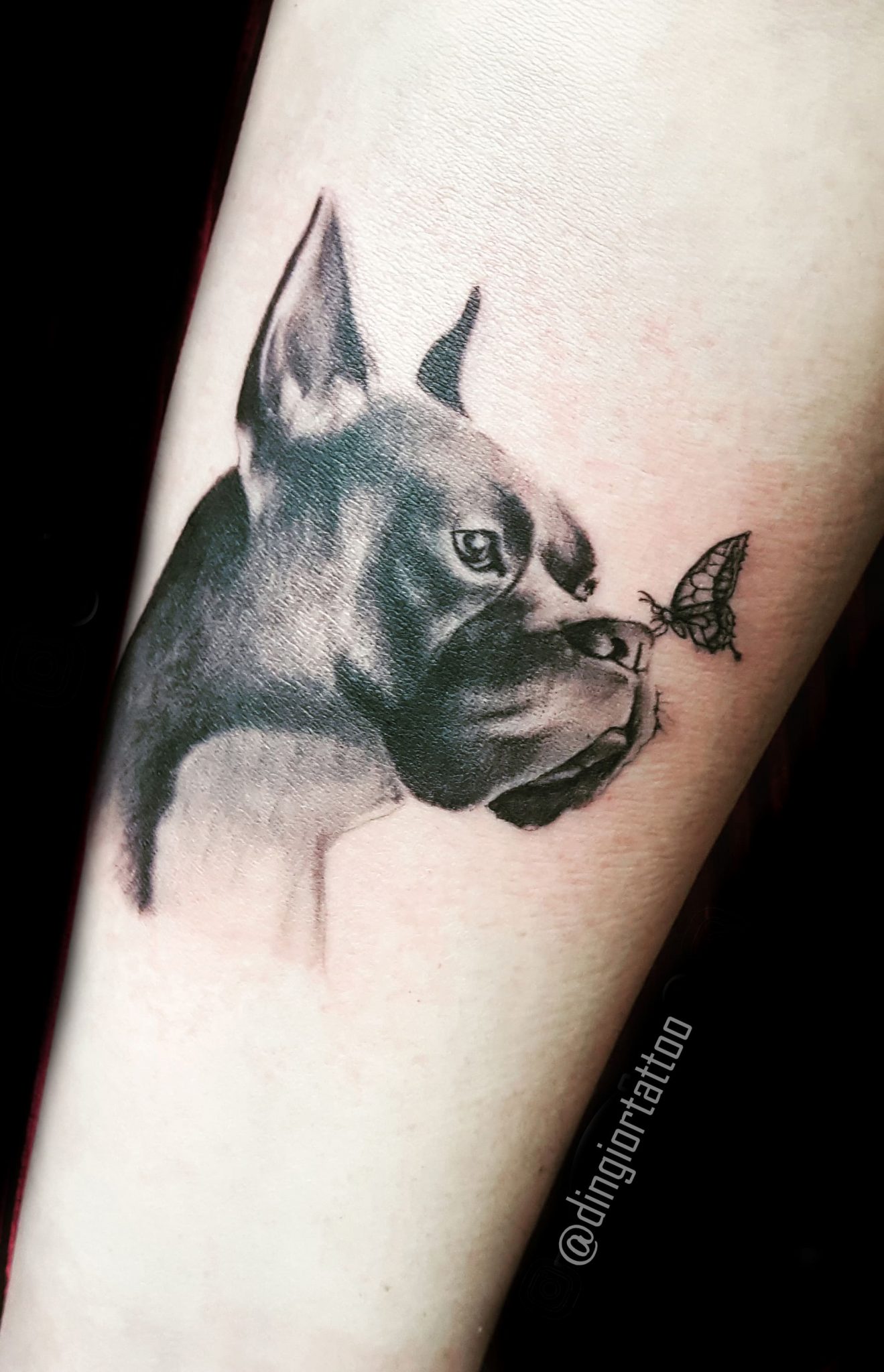 Realism or Realistic Tattoos Dog