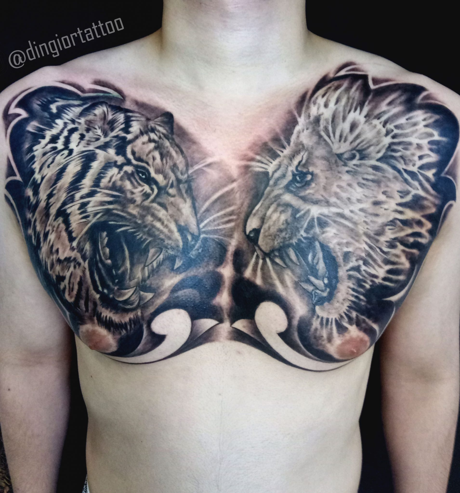 Realism or Realistic Lion and Tiger Tattoo