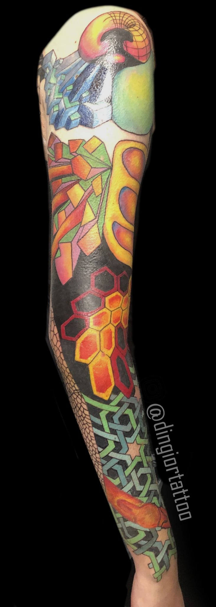 Geometric Dragonfly Tattoo (Graphics and Color)