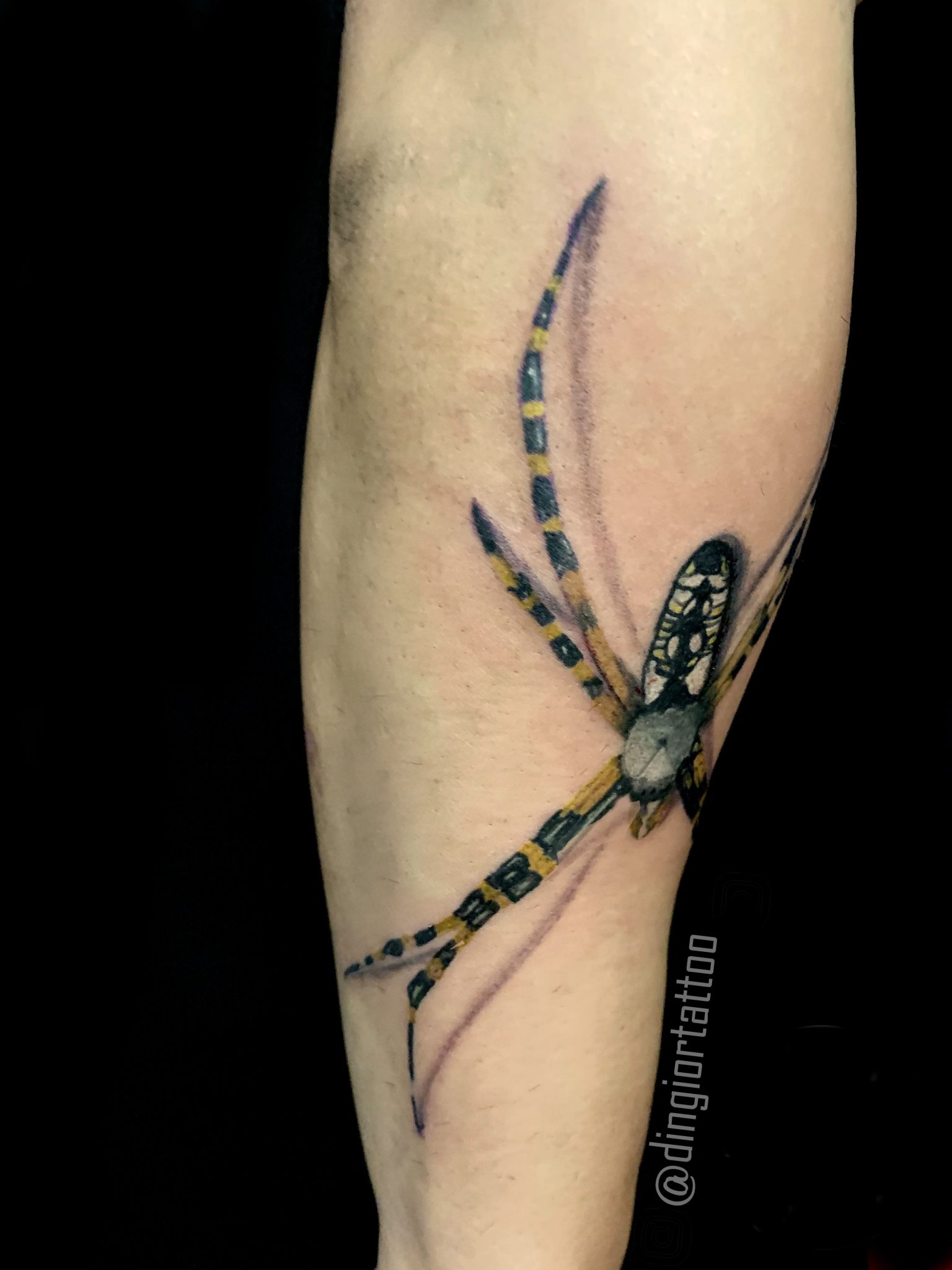 Realism or Realistic Tattoos Spider