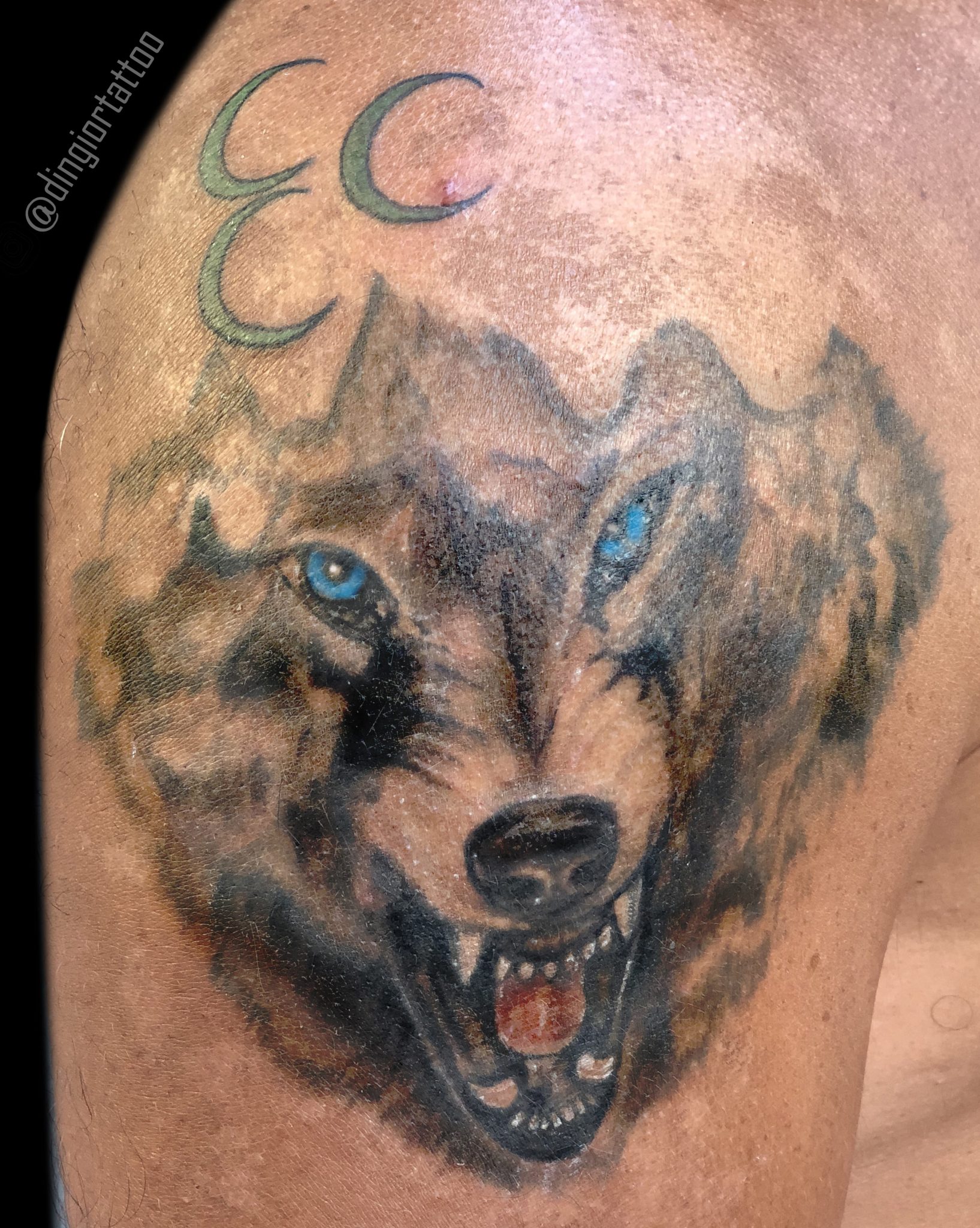 Color Wolf Tattoo